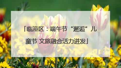 临潼区：端午节“邂逅”儿童节 文旅融合活力迸发