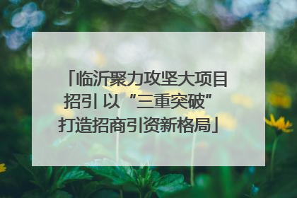 临沂聚力攻坚大项目招引 以“三重突破”打造招商引资新格局