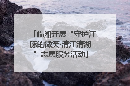 临湘开展“守护江豚的微笑·清江清湖”志愿服务活动