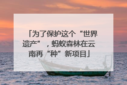 为了保护这个“世界遗产”，蚂蚁森林在云南再“种”新项目