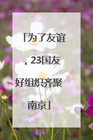 为了友谊，23国友好组织齐聚南京