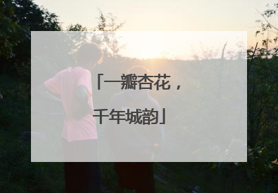 一瓣杏花，千年城韵