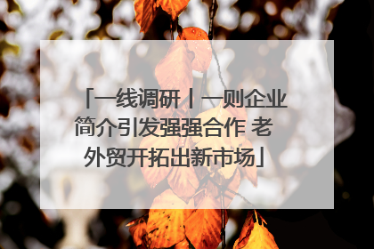 一线调研丨一则企业简介引发强强合作 老外贸开拓出新市场