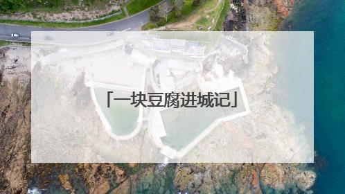 一块豆腐进城记