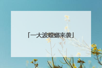 一大波螳螂来袭