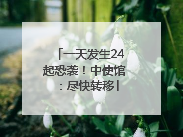 一天发生24起恐袭！中使馆：尽快转移