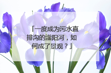 一度成为污水直排沟的滏阳河，如何成了景观？