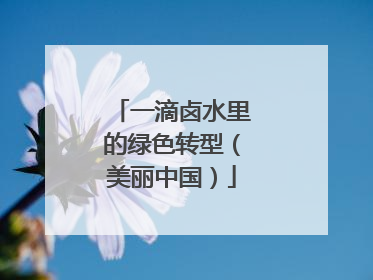 一滴卤水里的绿色转型（美丽中国）