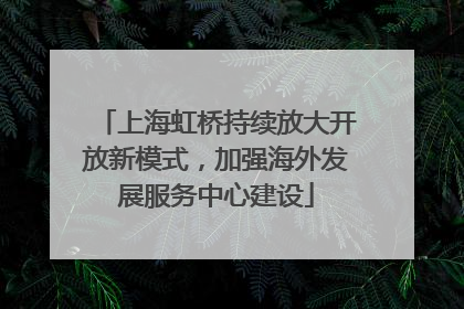 上海虹桥持续放大开放新模式，加强海外发展服务中心建设