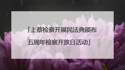 上蔡检察开展民法典颁布五周年检察开放日活动