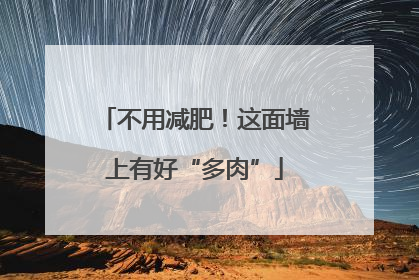 不用减肥！这面墙上有好“多肉”