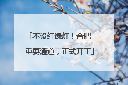 不设红绿灯！合肥一重要通道，正式开工