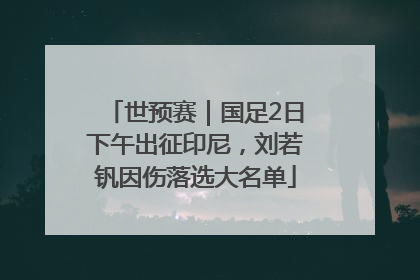 世预赛｜国足2日下午出征印尼，刘若钒因伤落选大名单