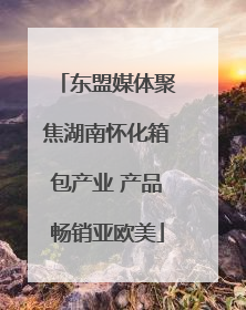 东盟媒体聚焦湖南怀化箱包产业 产品畅销亚欧美