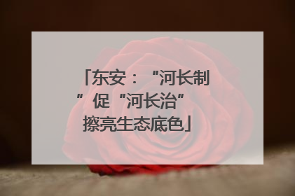 东安：“河长制”促“河长治” 擦亮生态底色