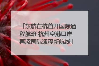 东航在杭首开国际通程航班 杭州空港口岸再添国际通程新航线