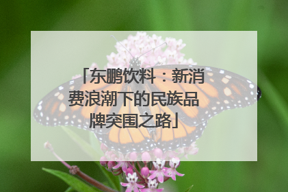 东鹏饮料：新消费浪潮下的民族品牌突围之路