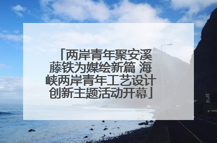 两岸青年聚安溪 藤铁为媒绘新篇 海峡两岸青年工艺设计创新主题活动开幕