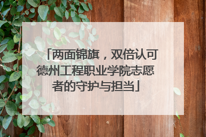 两面锦旗，双倍认可德州工程职业学院志愿者的守护与担当