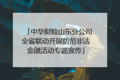 中华财险山东分公司全省联动开展防范非法金融活动专题宣传
