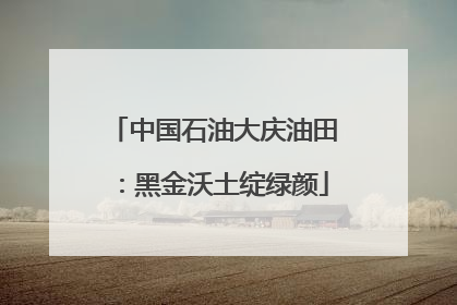 中国石油大庆油田：黑金沃土绽绿颜