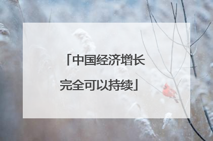 中国经济增长完全可以持续