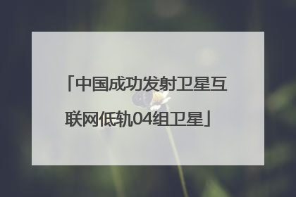 中国成功发射卫星互联网低轨04组卫星