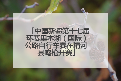 中国新疆第十七届环赛里木湖（国际）公路自行车赛在精河县鸣枪开赛