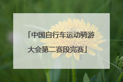 中国自行车运动骑游大会第二赛段完赛