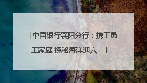 中国银行襄阳分行：携手员工家庭 探秘海洋迎六一