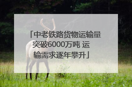 中老铁路货物运输量突破6000万吨 运输需求逐年攀升