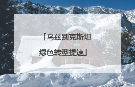 乌兹别克斯坦绿色转型提速