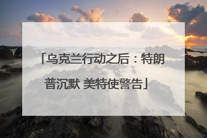 乌克兰行动之后：特朗普沉默 美特使警告