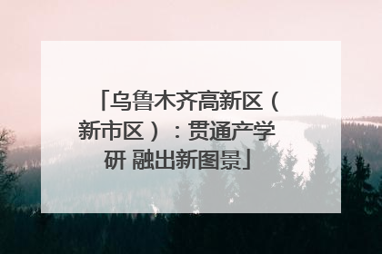 乌鲁木齐高新区（新市区）：贯通产学研 融出新图景