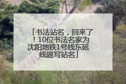 书法站名，回来了！10位书法名家为沈阳地铁1号线东延线题写站名