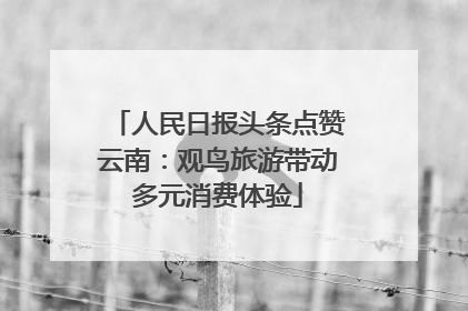 人民日报头条点赞云南：观鸟旅游带动多元消费体验