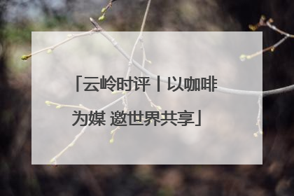 云岭时评丨以咖啡为媒 邀世界共享