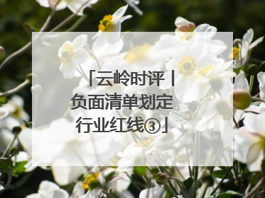 云岭时评丨负面清单划定行业红线③