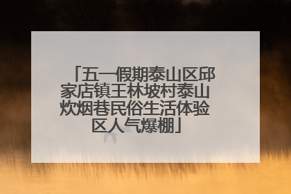 五一假期泰山区邱家店镇王林坡村泰山炊烟巷民俗生活体验区人气爆棚