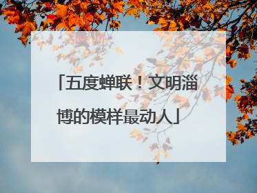五度蝉联！文明淄博的模样最动人