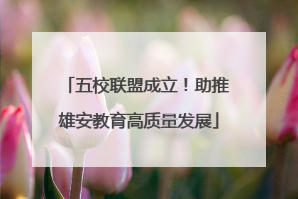 五校联盟成立！助推雄安教育高质量发展