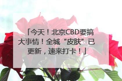 今天！北京CBD要搞大事情！全城“皮肤”已更新，速来打卡！