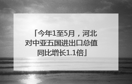 今年1至5月，河北对中亚五国进出口总值同比增长1.1倍