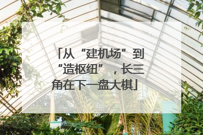 从“建机场”到“造枢纽”，长三角在下一盘大棋