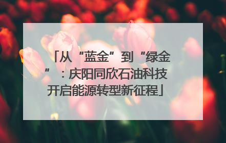 从“蓝金”到“绿金”：庆阳同欣石油科技开启能源转型新征程