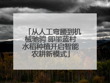 从人工弯腰到机械驰骋 即墨蓝村水稻种植开启智能农耕新模式