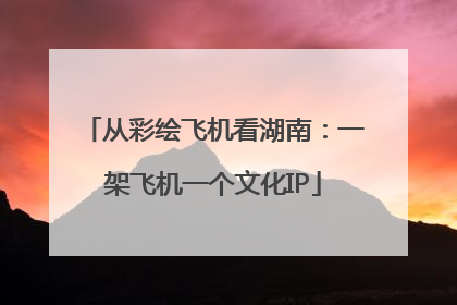 从彩绘飞机看湖南：一架飞机一个文化IP