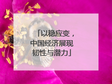 以稳应变，中国经济展现韧性与潜力