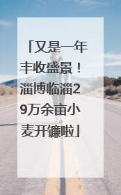 又是一年丰收盛景！淄博临淄29万余亩小麦开镰啦