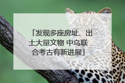 发现多座房址、出土大量文物 中乌联合考古有新进展